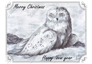 Kerstkaart Engels Owl